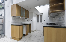 Alfington kitchen extension leads